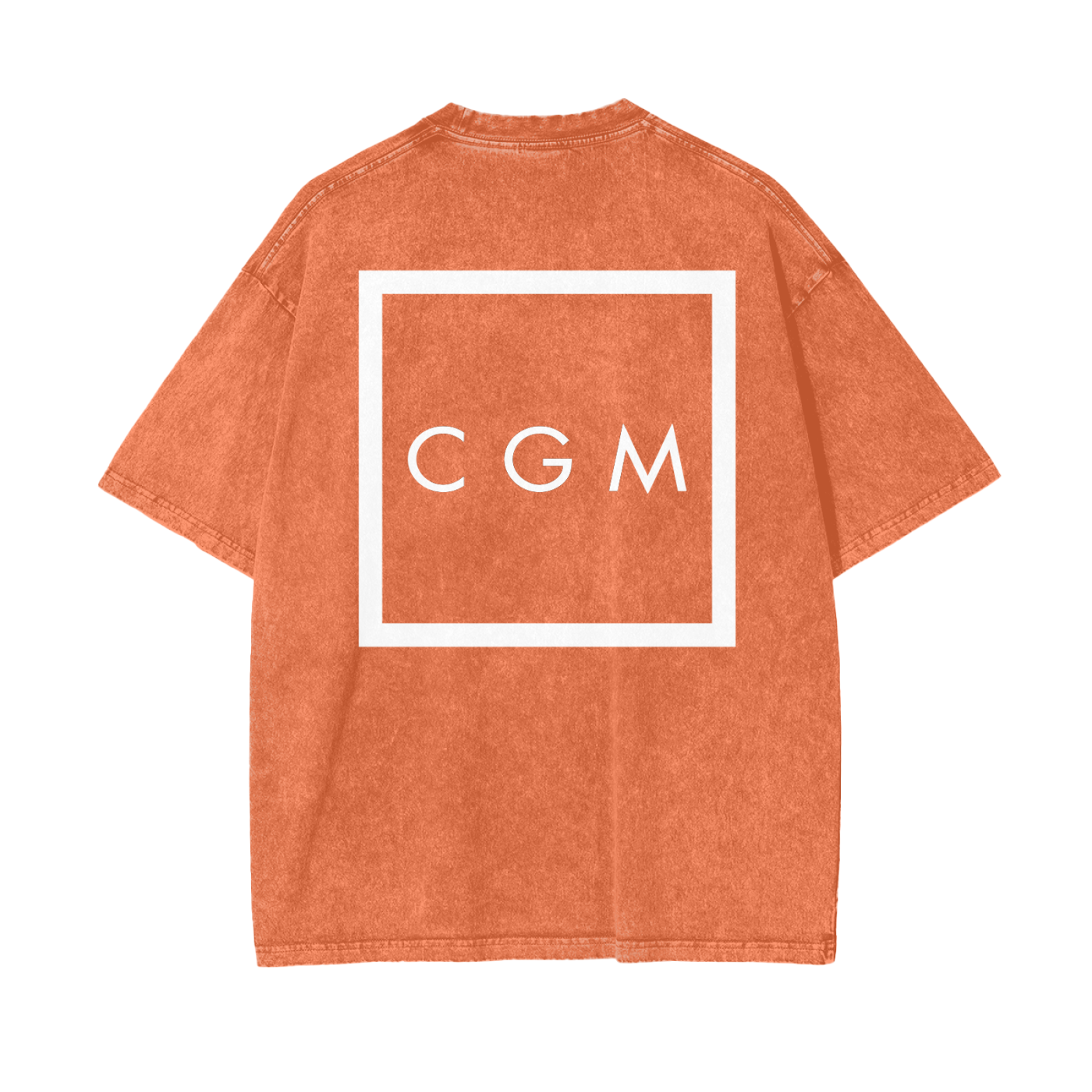 CGM Art Thief Snow Washed Tee
