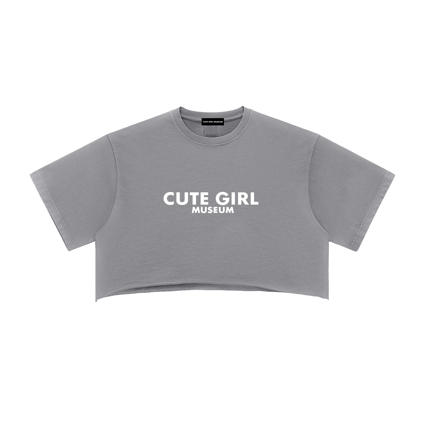 Snow Washed Raw Edge Crop Top