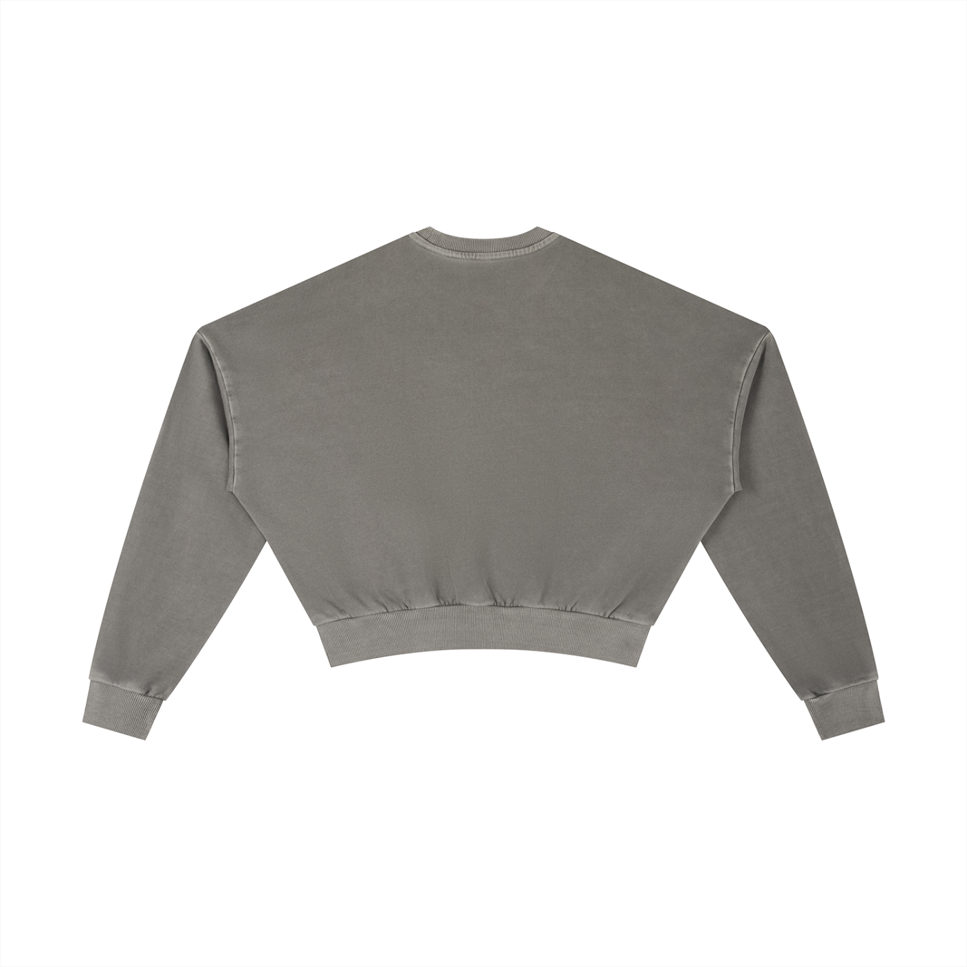 CGM Vintage Washed Vase Icon Cropped Sweatshirt