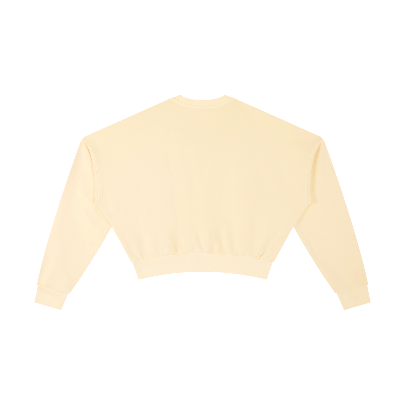 CGM Vintage Washed Vase Icon Cropped Sweatshirt