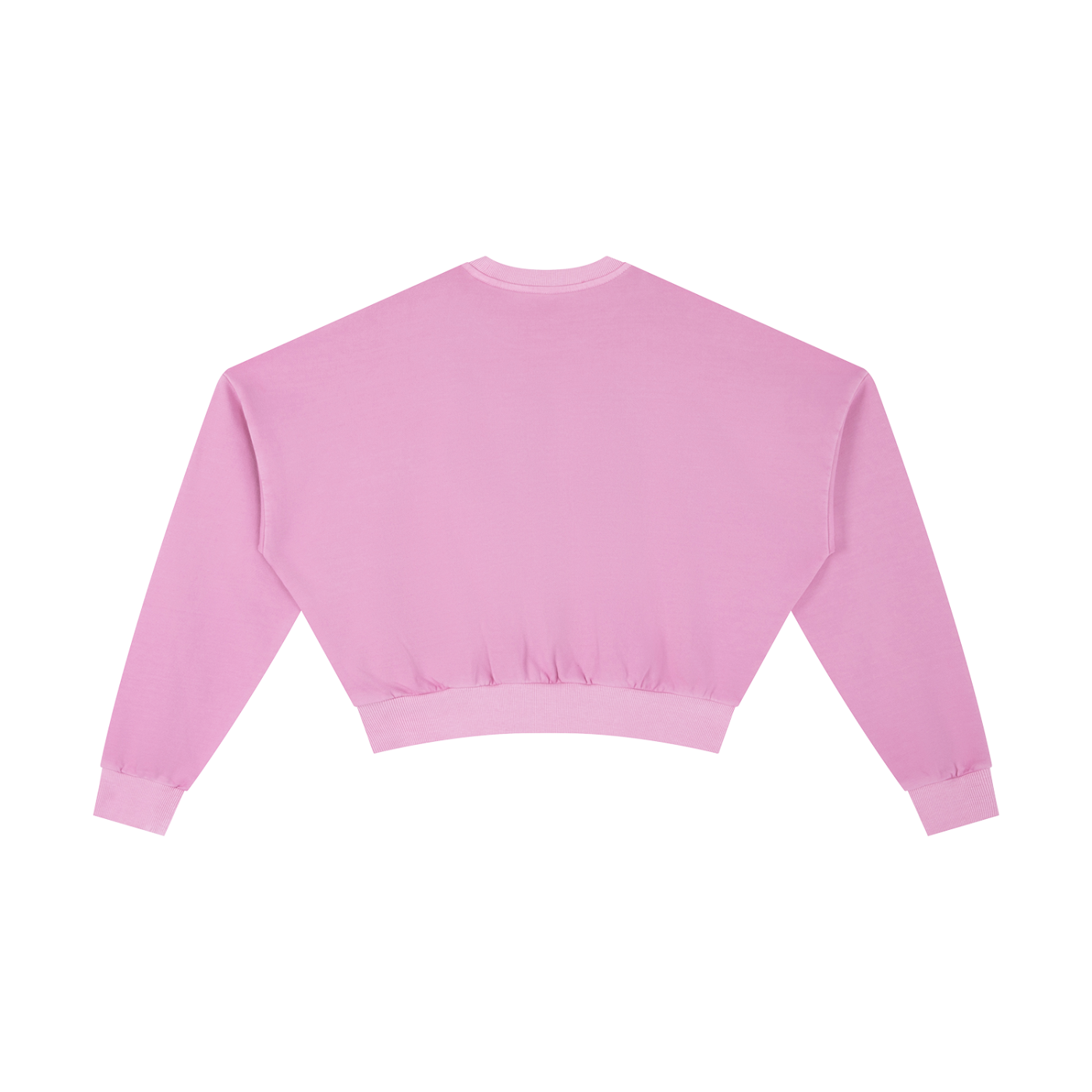CGM Vintage Washed Vase Icon Cropped Sweatshirt