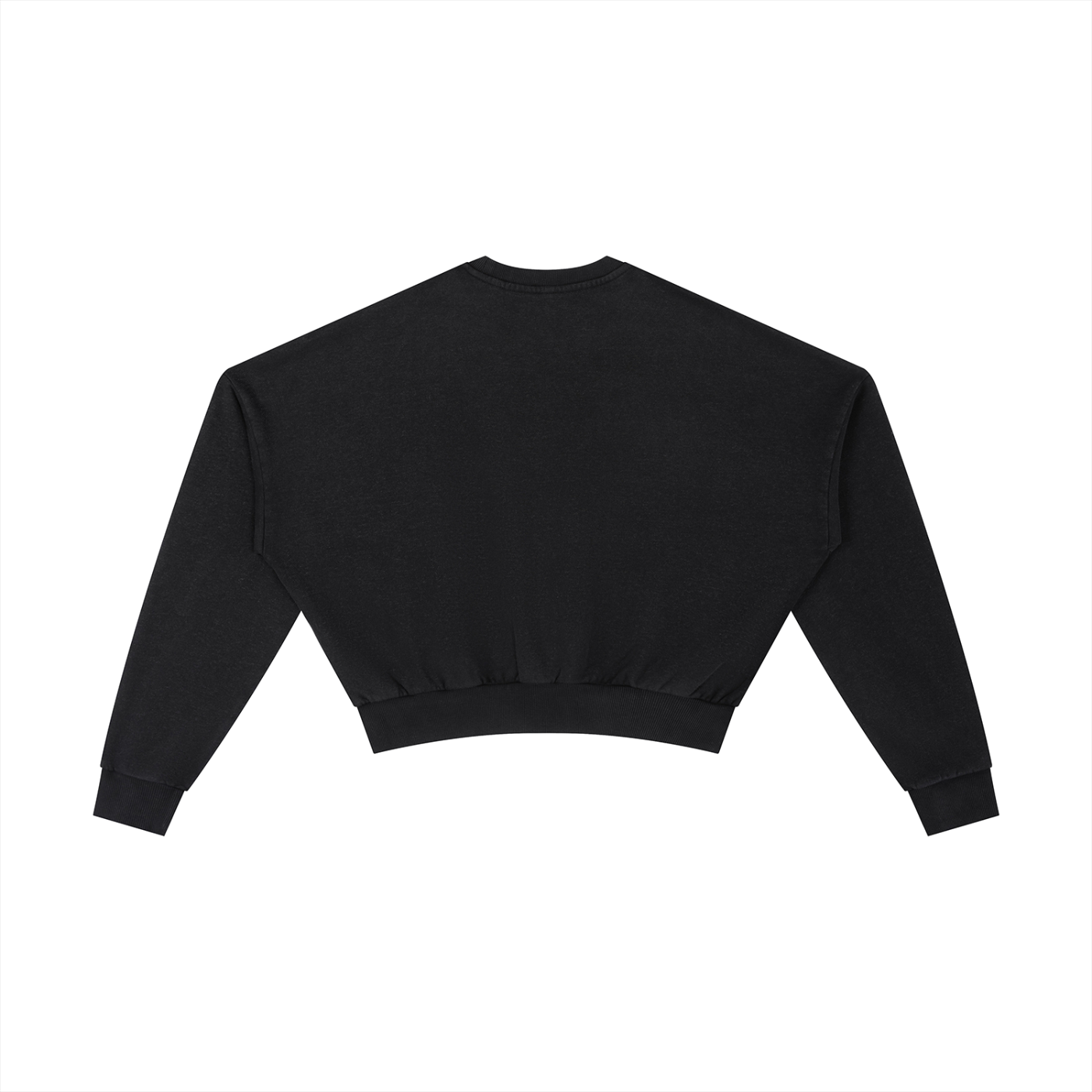 CGM Vintage Washed Vase Icon Cropped Sweatshirt